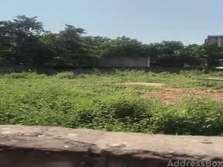 Dev 94 photo