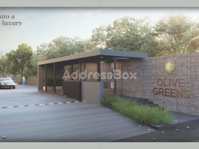 OLIVE GREENS Exterior