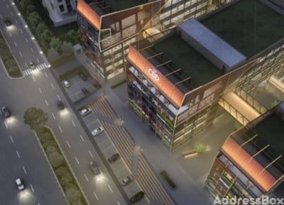THE CBD photo