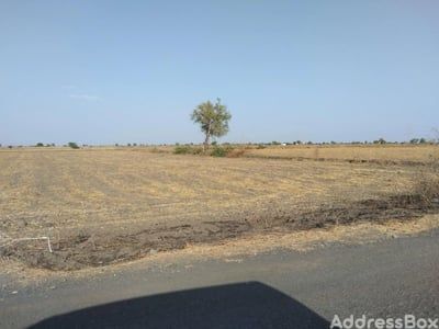 Dholka Road photo