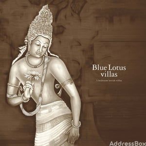 BLUE LOTUS VILLAS Others