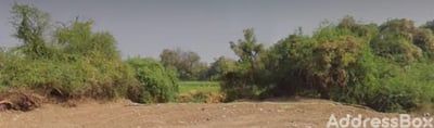 INDIVIZUAL PLOT photo