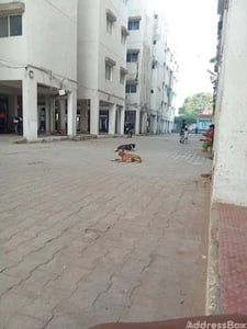 Navjivan Vihar photo