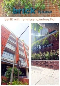 Brick Homes Apartments photo