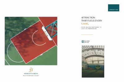 THE ATTRACTION Amenities