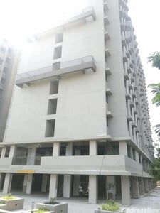 SAVVY STRATA photo