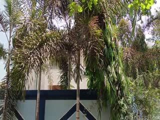 Krishna villa  photo