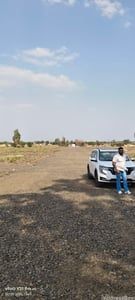 Money Farms photo