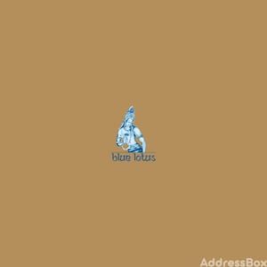 BLUE LOTUS VILLAS Others