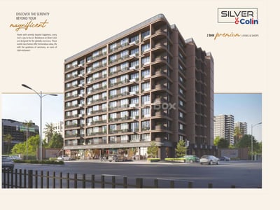 Silver Colin - Commercial Exterior
