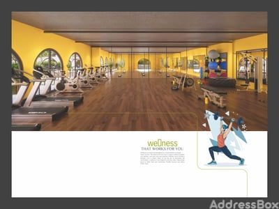 Festival Vibes Amenities