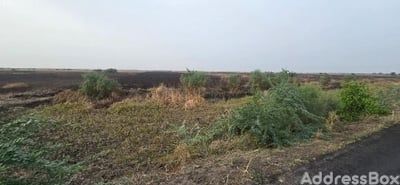 Dholera road photo