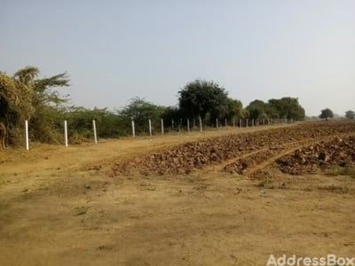 Sarkhej road photo