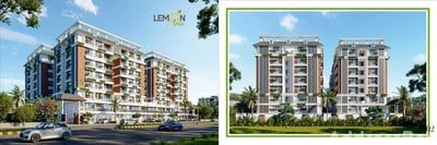 Lemon Tree - Commercial photo