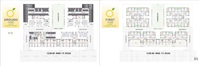 Lemon Tree - Commercial Floor Plan